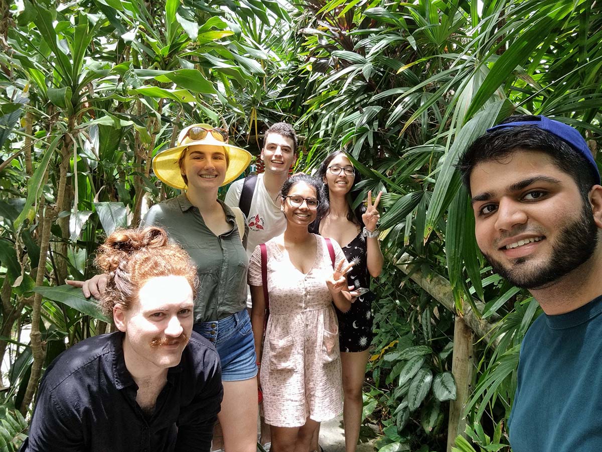 Group of students amongst corn field