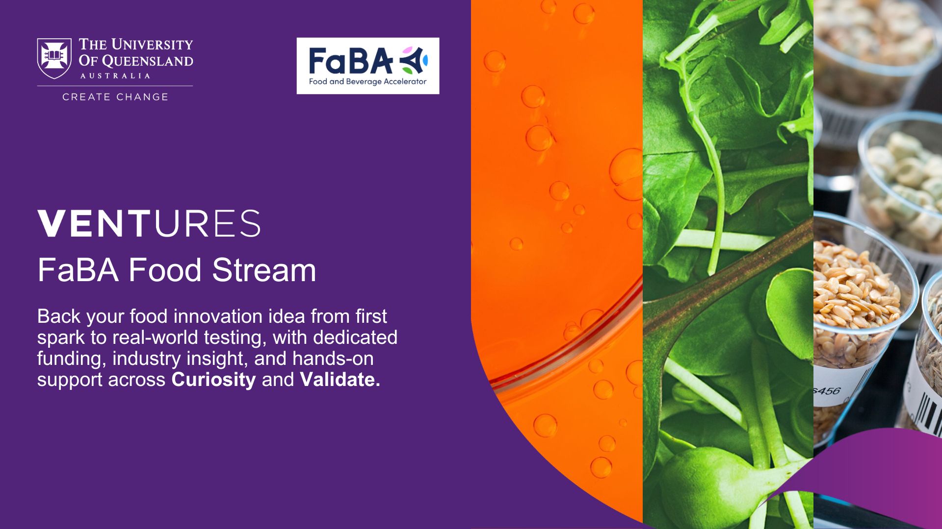 FaBA Food Stream - Back your food innovation idea from first spark to real-world testing, with dedicated funding, industry insight, and hands-on support across Curiosity and Validate.