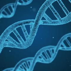 X-raying your DNA wins the day