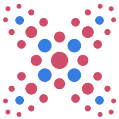 Xplainable