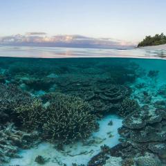 ocean innovation