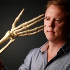 Dr Chris Jeffery looking at the skeleton of right hand and forearm